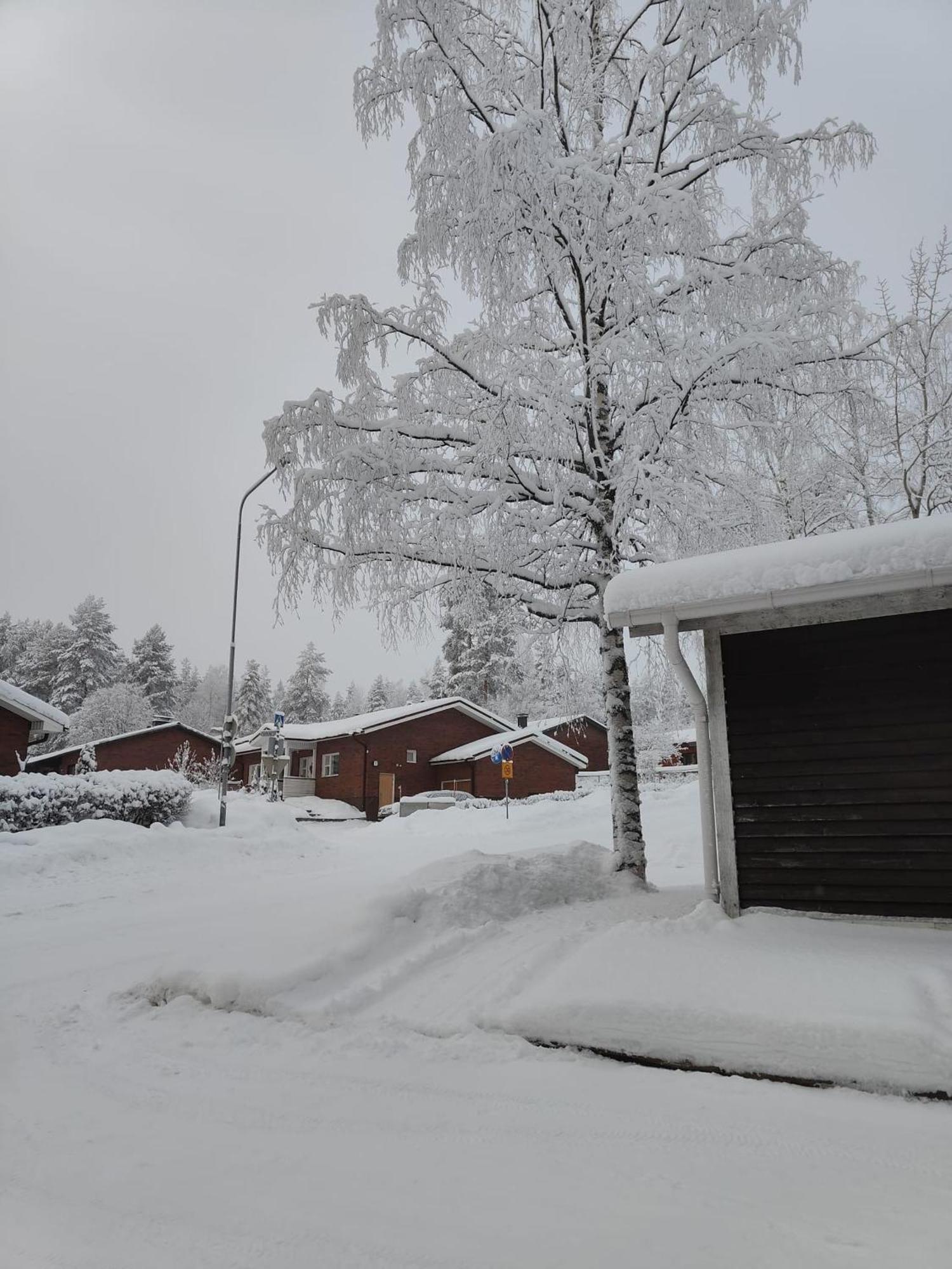 Cozy Forest Retreat In Kuopio - Perfect For Families Work Trips Eksteriør billede